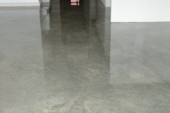 Nil Aggregate Polished Concrete