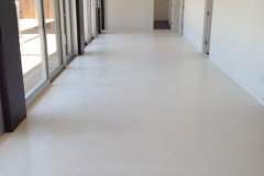 Polshed Concrete Overlay, Blairgowrie